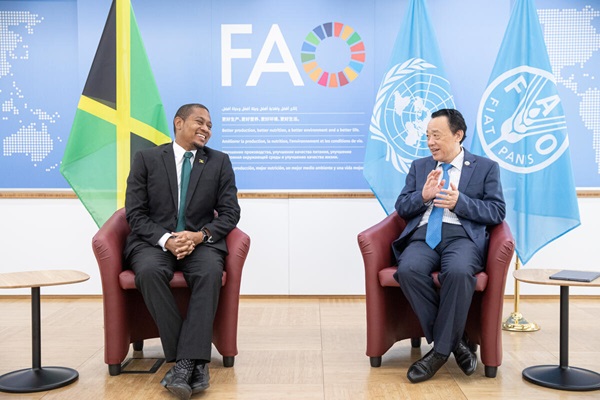 ©FAO/Giulio Napolitano