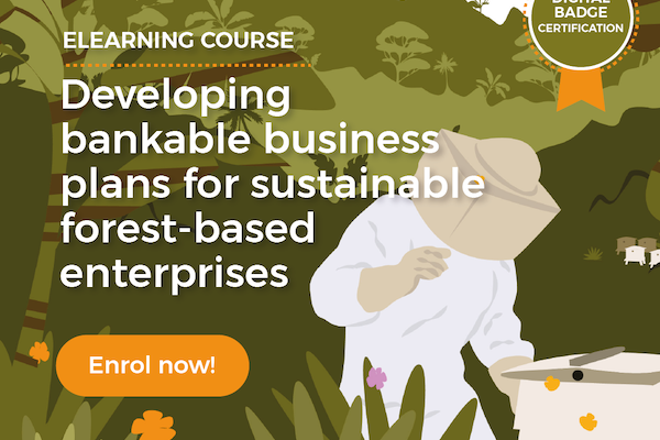Developing bankable business plans for sustainable forest-based enterprises Developing bankable business plans for sustainable forest-based enterprises