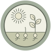 Co-creation of knowledge